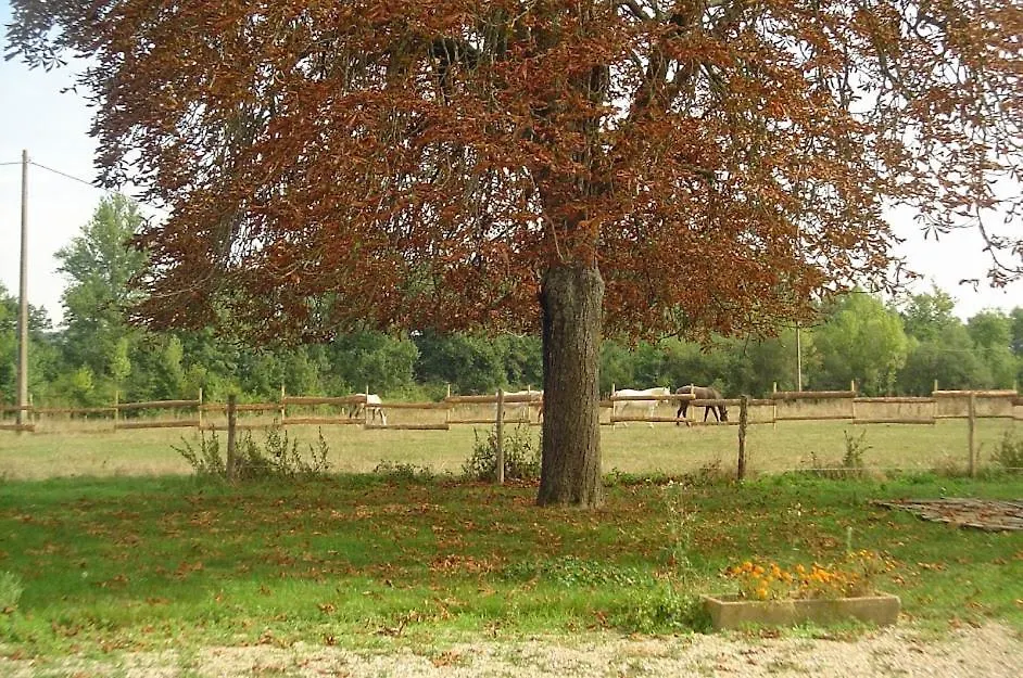 Havre De Paix - 4 Couchages - A Villemur Sur Tarn - Entre Toulouse Et Montauban Франция